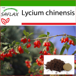 SAFLAX - Goji mari - 200 seemet - Potisubstraadiga paremaks kasvatamiseks - Lycium chinensis
