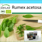 SAFLAX - Kinkekomplekt - Orgaaniline - Prantsuse hapuoblikas - 400 seemet - Koos kinkekarbi, kaardi, etiketi ja potisubstraadiga - Rumex acetosa