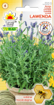 Lavendel 0,2g lilleseemneid aeda, suured saagid