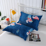 Flanellist padjap&uuml;&uuml;r pluss fliisist soe padjas&uuml;damik Padjakate Talvine mugav uni 2pcs