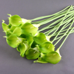 10 tk. pakis Calla Lily pulmakimbu peaga Lateks Real Touch lillekimbud Kodupeokaunistus 10pcs