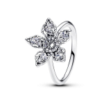 V&otilde;&otilde;rad asjad S&otilde;brad ei valeta Poolitatav s&otilde;rmus, mis sobib originaalseks Pandora s&otilde;rmuse aksessuaarid Naiste ehete jaoks Luksuslikud kingitused 9