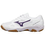 Mizuno Cyclone Speed CN libisemiskindlad kulumiskindlad madala s&auml;&auml;rega v&otilde;rkpallijalatsid Unisex tossud Valge Lilla V1GA218135 39 white