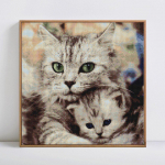 5D DIY Teemanttikandid Rhinestone pildid Loomade kasside t&auml;isruudu teemantmaal 30x30CM