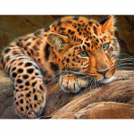 Teemanttikandid Leopard t&auml;isteemantmaal Rhinestone'i &uuml;marpistes ristpistes mosaiik loomapilt 20X30CM