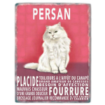 Les Tr&eacute;sors De Lily [Q6487] - Magnet m&eacute;tal 'Chats' rose blanc (Persan) - 9x6. 5 cm Heleroosa