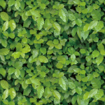 3D veekindla telliskivimustriga seinakleebised Isekleepuv Nostalgiline tapeet Kohvik-baar Restoran PVC-tapeet 45CMX10 meetrit