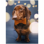 5D DIY Teemantmaali koer Ristpistes Mosaiik Teemanttikandid Roos T&auml;is&uuml;mmargune/ruudukujuline puur Kodukaunistus Round 20x30cm