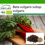SAFLAX &ndash; Orgaaniline &ndash; Mangold &ndash; Rabarber &ndash; 50 seemet &ndash; Potisubstraadiga paremaks kasvatamiseks &ndash; Beta vulgaris