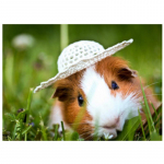 HUACAN 5D Teemantmaal Merisea t&auml;isruudukujuline kivikivikomplekt Teemanttikandid Loom Mosaiik Ristpistes K&auml;sitsi valmistatud kingitus Full Square 20*30 cm