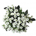 1 tk, 6 oksa, 36 pead, simulatsiooni siidist lill Milano DIY kunsti pulmade kodukaunistus