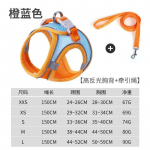 Koerarakmete jalutusrihma komplekt v&auml;ikestele koertele Reguleeritav kutsika kassi rakmete vest Prantsuse buldogi chihuahua mopsi &otilde;ues k&auml;imise rihm XXS