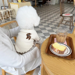 Kutsikate vest, 2024. aasta suvi Koerte riided Kassi Koera Gilri Riietus Chihuahua Bichon Frise Lemmikloomar&otilde;ivad Kassi koera T-s&auml;rk Kootud aluss&auml;rgid XS