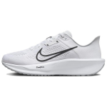 Nike Quest 6 Valge Must Meeste Tennised Puht-Plaatina FD6033-100 45