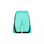 Nike LeBron X Liverpool Dri-FIT V&auml;rviplokk Paelkinnitusega Vabaaja Spordip&uuml;ksid Meestele Hingavad Niiskust Imavad Korvpallip&uuml;ksid Washed-Teal FN3013-392 M