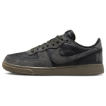 Nike Terminator Low Medium Ash Gum FV0396-001 36.5