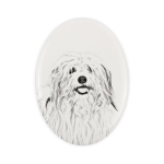 Coton de Tulear, Cotie - commemorative plaque with a photo of a dog, tombstone with a print, personalized oval plaque from the Art-Dog brand valge