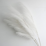 Suur pampashein 100 cm k&otilde;rge Kohev roogude kimp V&otilde;lts pampas Kunstlilled Boho Kodu Pulma kaunistus Lillekimp 3pcs valge
