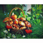 Teemantmaal Ristpistes Teemanttikandid Korv Seened Komplektid Teemantmosaiik Kodukaunistus 20X30CM