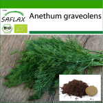 SAFLAX - Orgaaniline - Till - 700 seemet - Potisubstraadiga paremaks kasvatamiseks - Anethum graveolens