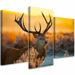 Kolmeosalise pildiga l&otilde;uendiprint Deer Animal Sunset Nature 60x40 oranž