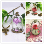 V&otilde;lutud inspireeritud roos klaaspudelis vasega kaetud kaelakee kuppel pronksist peegli v&otilde;lu punane