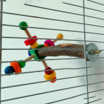 Colored Building Blocks Stick Parrot Stand Branches Fork Easy to Install Funny Creative Wood