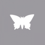 Perforatrice : Papillon, 1,6cm, (5 / 8 ), 1pi&egrave;ce