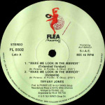 12-tolline plaat TIFFANY JONES - Pane mind peeglisse vaatama FL8502 Flea Records 1991 Itaalia Tants ja Elektroonika Kasutatud