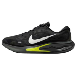 Nike Journey Run Must Valge K&uuml;bert Meeste Tossud Antratsiit Summit-White FN0228-008 44.5