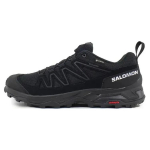 SALOMON X Ward Nahk Gtx 'Must' / L00 471823 44