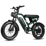 Elektriline jalgratas Maxtron MX10 250W mootoriga 20 paksude rehvidega T&auml;ielikult amorditud t&auml;iskasvanute elektriline jalgratas Tippkiirus 25 km/h LED-ekraan 48V 13,5Ah