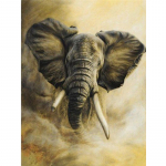 Teemantmaaling Elevant Teemanttikandid Loom Teemantristpistes Ameerika kodukaunistus 20X30CM