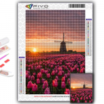 5D DIY Lilled Tulbid Ristpistega kivikivid Teemantjoonistus Tikand Mosaiik Kodukaunistus Full Round 20X30CM