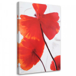 L&otilde;uenditr&uuml;kk Poppy Flower Red Nature 40x60 punane