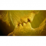 Abstraktne paarisuudlus Kaasaegne seinakunst l&otilde;uendil Maalid Moodne armas suudlus Kodu Dekoratiivsed pildid Seinaplakatid elutoa Cuadrose sisekujunduseks 50x100cm