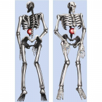 OVERLORD Ainz Ooal kleit Dakimakura kate Anime padjap&uuml;&uuml;r Kahepoolne kogu kehaga padjap&uuml;&uuml;r Magamistoa voodipesu Padjakate 40x120cm Peachskin