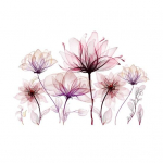 Roosa lillega tualettruumi kleebis Eemaldatav isekleepuv veekindel PVC elutoa seinakunst Vannitoa tualettruumi kaane kaunistuskleebis Stickers