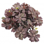 10 tk kunstlill Realistlik lai kasutusega Elav v&auml;rvifotograafia rekvisiit, simulatsioon kr&uuml;santeem P