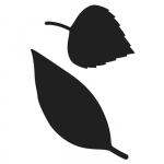 Matrices de coupe - Artemio - Feuilles - 2 pce - D&eacute;coupe en m&eacute;tal - Compatible avec machines Artemio