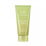 [BRING GREEN] Artemisia Calming EX Modeling Pack to Foam Cleanser 120ml