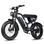 Elektriline jalgratas Maxtron MX10 250W mootoriga 20 paksude rehvidega T&auml;ielikult amorditud t&auml;iskasvanute elektriline jalgratas Tippkiirus 25 km/h LED-ekraan 48V 13,5Ah