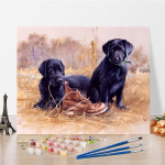 Kunst DIY Maalimine numbrite j&auml;rgi Teemantmaal &Otilde;limaal Numbrimaal Kodukaunistus Hobid Digitaalne &otilde;limaal 40x50cm no frame