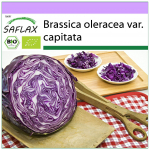 SAFLAX &ndash; Orgaaniline &ndash; Punane kapsas &ndash; Punane trummipea &ndash; 250 seemet &ndash; Brassica oleracea