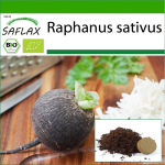 SAFLAX - Orgaaniline - Redis - Must Hispaania &uuml;mmargune - 100 seemet - Potisubstraadiga paremaks kasvatamiseks - Raphanus sativus