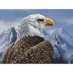 DIY Eagle 5D Teemantmaal T&auml;is&uuml;mmargune puur Rhinestones lind Teemanttikandid Mosaiik Ristpistes Kit Seinakunst Kodukaunistus Full Round 20x30CM
