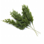 Rohelisest m&auml;nnist j&otilde;ululehtedest kaunistused kodu plastikust vaasid pulmadeks Dekoratiivsed lilled p&auml;rjad isetegemise kunsttaimed 5pcs