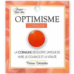 Les Tr&eacute;sors De Lily [A1948] &ndash; heaolus&otilde;rmus  Min&eacute;ralia  oranž (Karneool &ndash; optimism) - 15 mm oranž