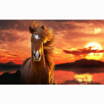 L&otilde;uendimaalid Seinapilt HD Loomad Dekoratiivsed Hobused Pildid Prinditud L&otilde;uendi Seinakunst Kodusisustus elutuppa ilma raamita 20x30cm