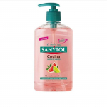 Sanytol k&ouml;&ouml;gi k&auml;teseep 250ml